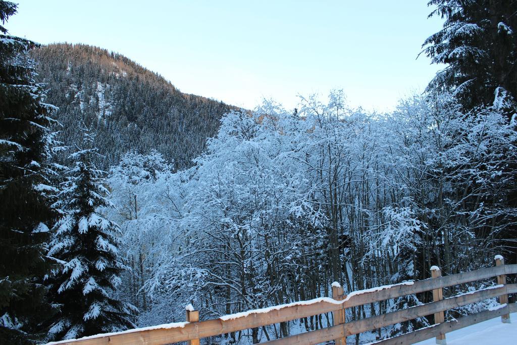 Ferienwohnung Earthloft Bad Kleinkirchheim Oda fotoğraf